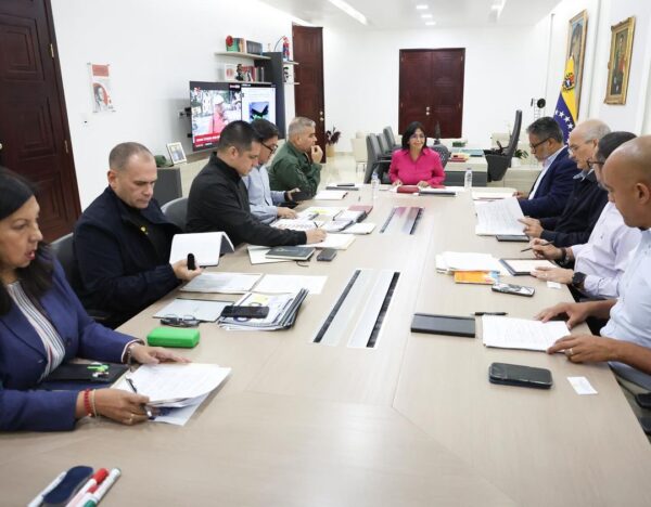 Consejo de Vicepresidentes Sectoriales